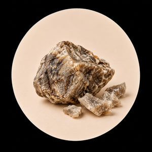 Ambre gris