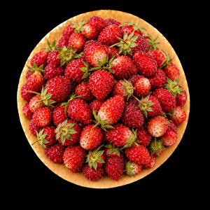 Fraise des bois 