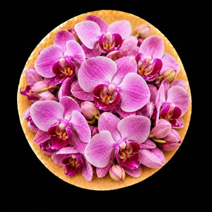  Orchidée