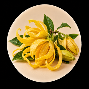 Ylang-ylang